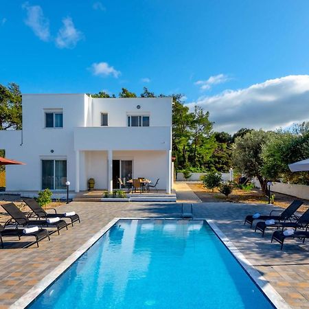 Vasilis Villa Fánai Extérieur photo